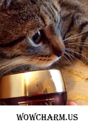 STEBLANC - IV. Collagen Firming Eye Cream - внутренний свет ваших глаз.