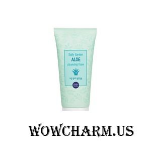 Holika Holika / Пенка для лица Daily Garden Aloe Cleansing Foam
