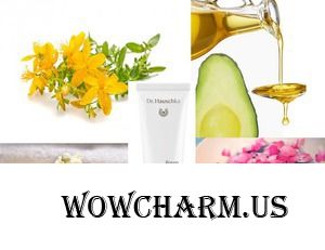 Нежная роза от Dr. Hauschka
