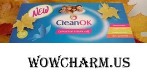 Бумажные салфетки «CleanOk» для носов, ручек, и не только