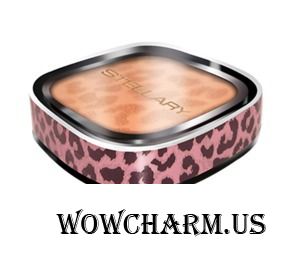 Stellary / Бронзирующая пудра Bronzing Powder