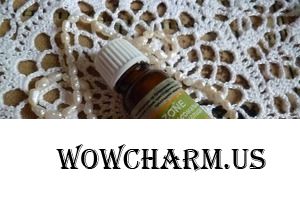 Vitazone / Концентрированный экстракт Нанолипосомальный экстракт иглицы шиповатой