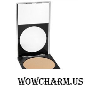 Revlon / Пудра компактная PhotoReady SPF 14