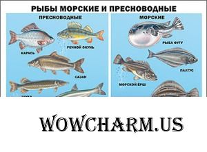 Морская или речная?