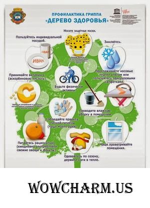 Комплексная профилактика простудных заболеваний.