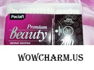 Незаменимый аксессуар от Paclan