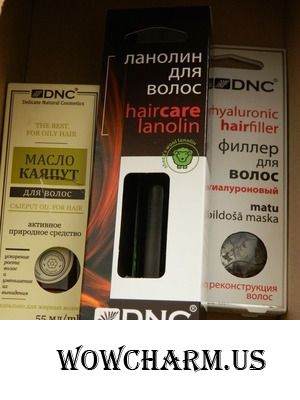 Мне выпало счастье тестировать ДНЦ!
