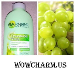 Какое оно, молочко для снятия макияжа от Garnier?