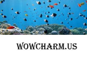 Суперувлажнение для кожи рук с морскими минералами