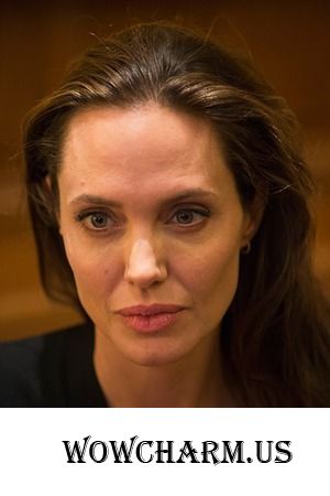 Анджелина Джоли стала профессором