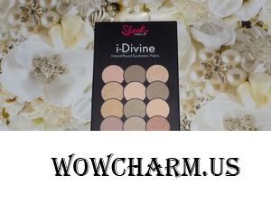 Ночной образ с палеткой теней i-Divine