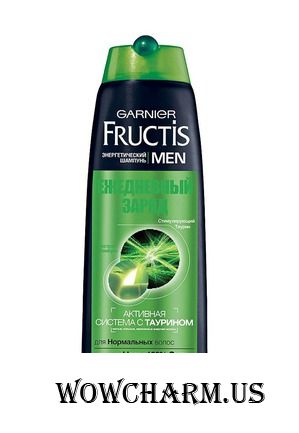 GARNIER / Шампунь для волос Шампунь Fructis Men "Ежедневный заряд"