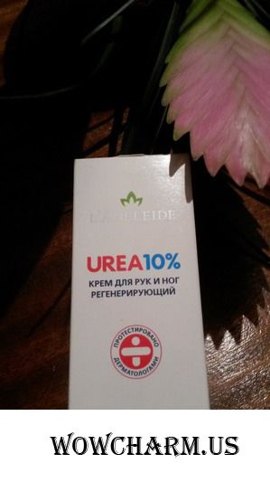 Нежный подход от Аделеэйд