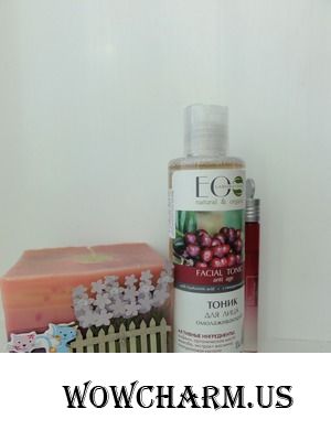 "Брусничное" тонизирование от Ecolab
