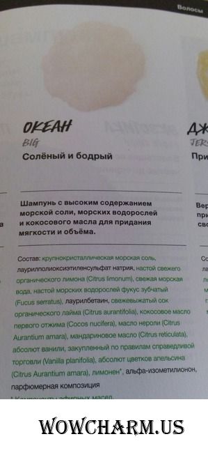 Путешествие к океану