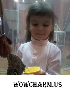 Если на вас села бабочка - будете счастливы!