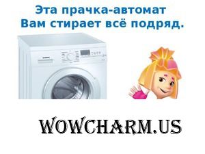 Мои любимые помощники