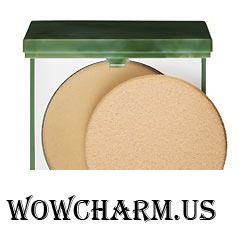 Clinique / Матирующая Компактная Пудра Stay-Matte Sheer Pressed Powder