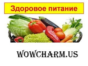 Пять помощников для организации правильного питания