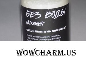 Сухой шампунь – чистые волосы без воды