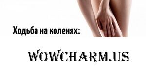 Итак. день первый.