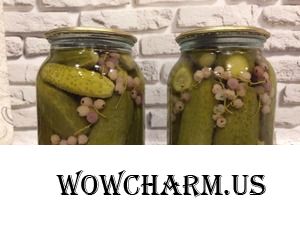 Огурцы с красной смородиной.