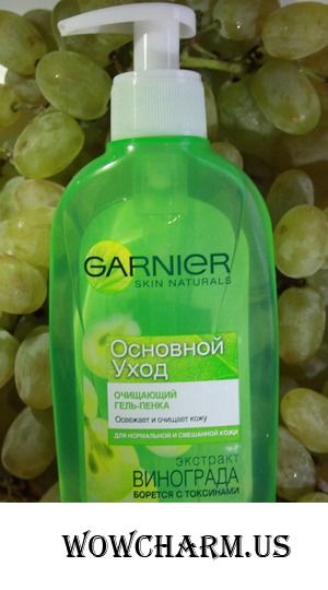 Чистая кожа с Очищающим гелем от Garnier