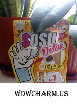 Sosu Detox, или нет усталости ног
