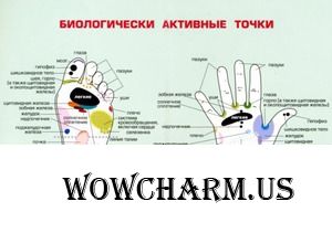 ТОЧКИ КРАСОТЫ и ДОЛГОЛЕТИЯ[Рассказывает остеопат и краниопостуролог Владимир Животов]