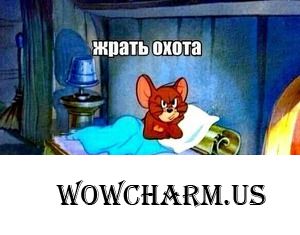 Есть, чтобы жить! А не жить, чтобы есть!