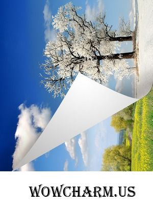 Цветотипы Зима и Лето: цвет волос, макияж и другие особенности