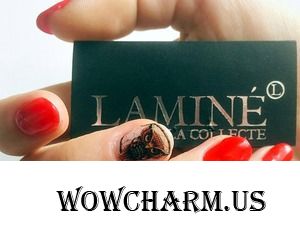 Они такие разные... Слайдеры от бренда LAMINE la collecte.