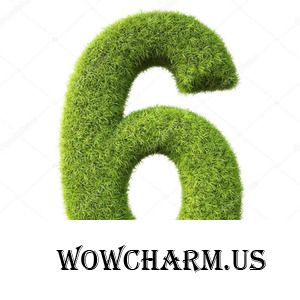 365. День 42. Итоги 6 недели