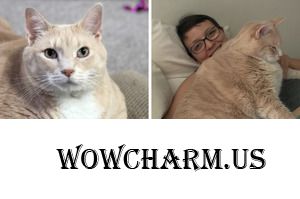 Вдохновение для худеющих