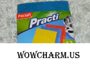 Мочалочки от Paclan: посуда сияет