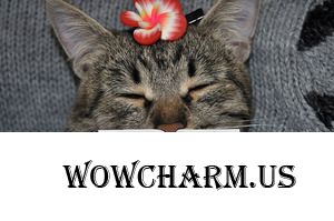 Ухаживаем, улыбаясь))