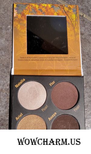 Палетка теней для осеннего цветотипа внешности от The Sola look iGracias palette.