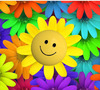 Фотоконкурсы на wowcharm.us