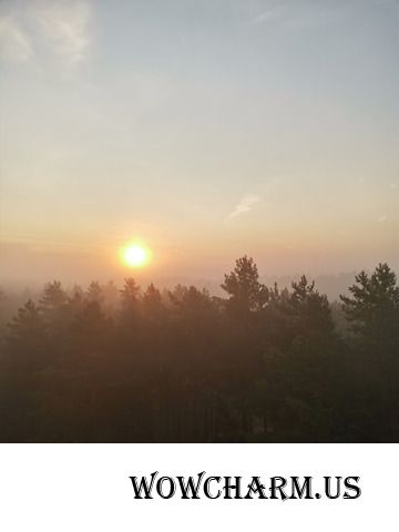 Туманное утро