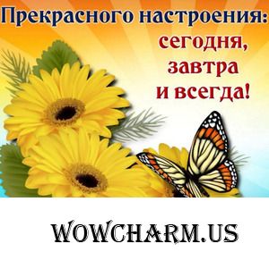 Итоги конкурса "Самый смешной комментарий к картинке"