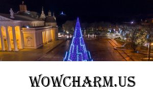 Самые красивые новогодние елки из разных уголков планеты