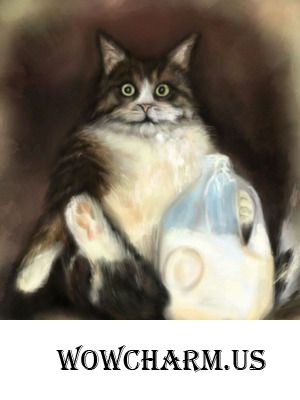 Одной семье повезло с котом)