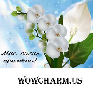 Конверт от Мариночки получен. Спасибо огромное!