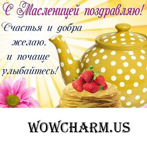 С Масленницей!!!))