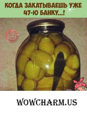 Объявление по конкурсу "По следам дачного марафона"!!!