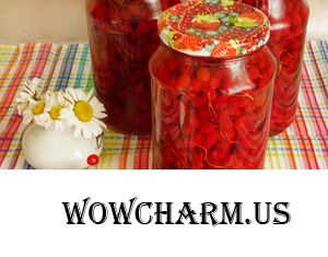 Заготовки из калины для иммунитета и не только