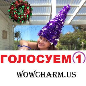 ГОЛОСОВАНИЕ №1. Предновогодний конкурс-фотофлешмоб. Тема "Новый год к нам мчится! "