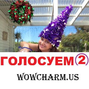 ГОЛОСОВАНИЕ №2. Предновогодний конкурс-фотофлешмоб. Тема "Новый год к нам мчится! "