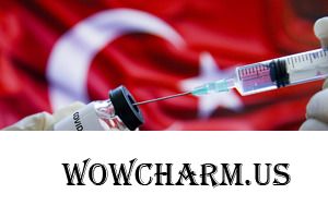 Россиянам будет предоставлена возможность привиться иностранными вакцинами в Турции