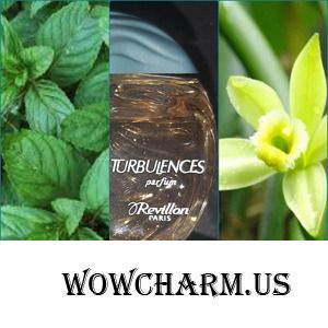 Дамы и господа, пристегните ремни, мы входим в зону Turbulences...